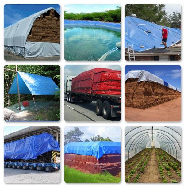 篷布：守護(hù)您的世界，從細(xì)節(jié)開始